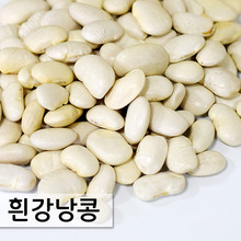 흰강낭콩(네이비빈) 1kg (중국산)